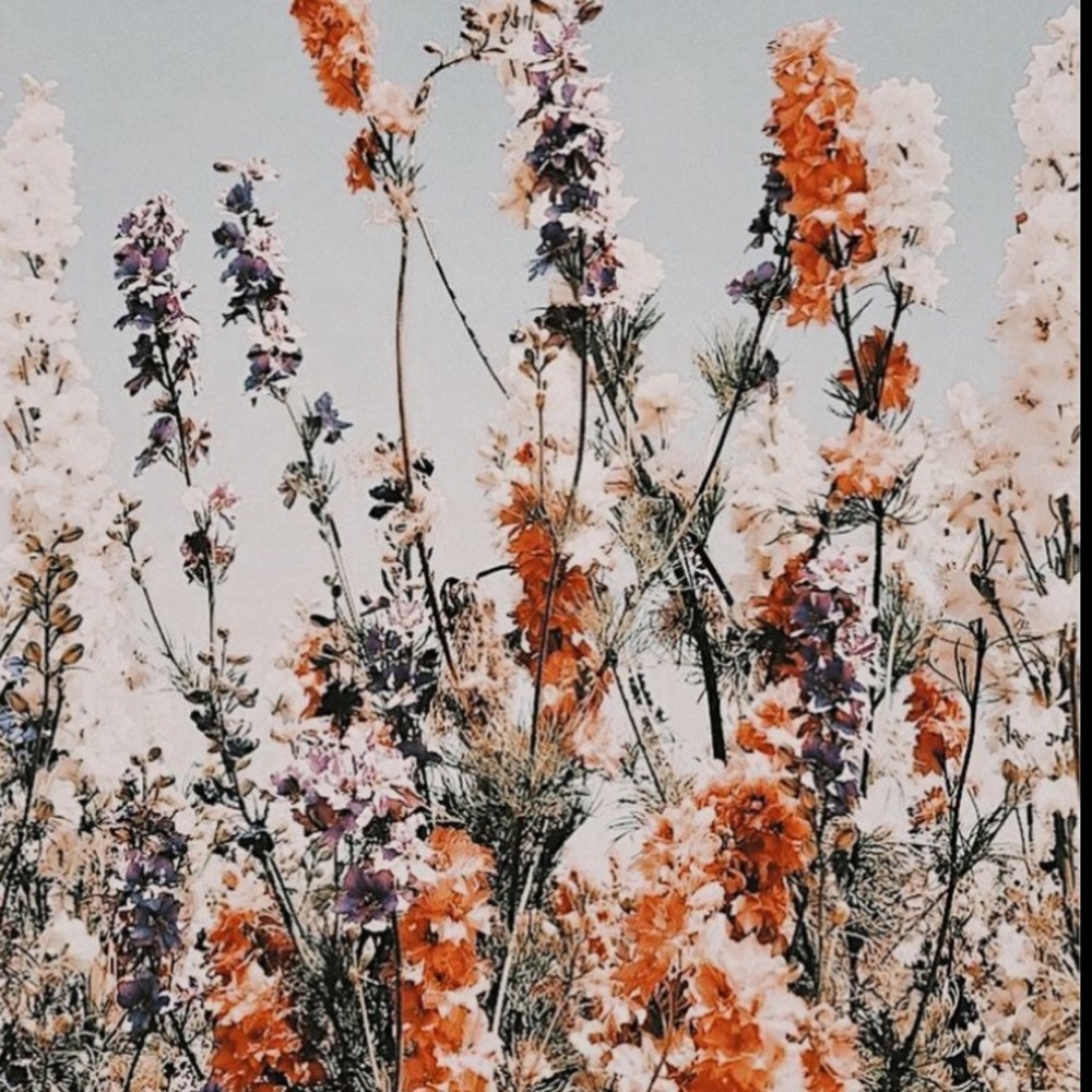 Meet your Posher, Lelia